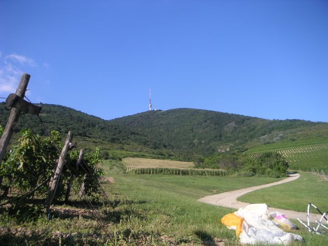 Tokaj 12.jpg
